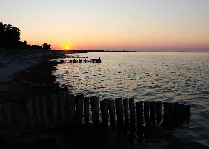 1041-stege-paradisaeblet-75 *